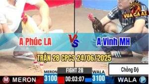 Trận 28 CPC3 24/06/2025 - Anh Phúc Long An Vs Anh Vinh Mộc Hoá
