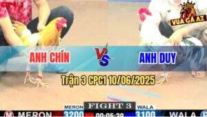 Trận 3 CPC1 10/6/2025 - Khét Sữa Anh Chín Tải Cựa Quá Trâu