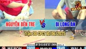 Trận 30 CPC1 10/6/2025 - Gà Bướm Anh Nguyên Đá Được 3 Chân Bung Bồ