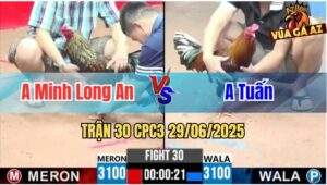 Trận 30 CPC3 29/06/2025 - Gà Má Minh Đá Cựa Như Sơ Mít