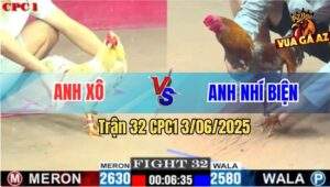 Trận 32 CPC1 3/6/2025 - Gà Xám Anh Nhí Quá Trâu Gồng Cứu Chủ Ngoạn Mục