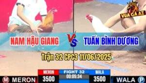 Trận 32 CPC3 11/6/2025 - Úa Anh Tuấn Tiễn Gà Khét Nhập Thổ Nhanh Gọn