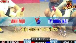 Trận 33 CPC1 10/6/2025 - Gà Bướm Anh Tý Vô Nước Khuya Gồng Quá Tốt