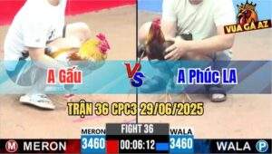 Trận 36 CPC3 29/06/2025 - Gà Anh Phúc Long An Canh Chặn Quá Khéo
