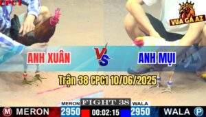 Trận 38 CPC1 10/6/2025 - Điều Chân Xanh Anh Xuân Đá Gà Bướm Bay Bồ