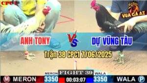 Trận 39 CPC1 7/6/2025 - Anh Tony Và Anh Dự Không Phân Thắng Bại