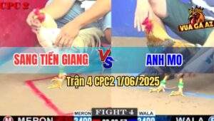 Trận 4 CPC2 1/6/2025 - Bướm Anh Sang Tiền Giang Hạ Đẹp Gà Cú Anh Mo