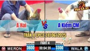 Trận 4 CPC3 24/06/2025 - Gà Que Anh Hai Đá Nhanh Thắng Gọn