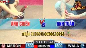 Trận 41 CPC1 30/06/2025 - Gà Anh Chiến Và Gà Anh Tuấn Hoà Nhau Sát Nút