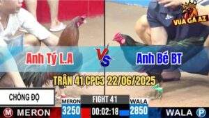 Trận 41 CPC3 22/06/2025 - Gà Điều Anh Tý Long An Chồng Độ