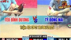 Trận 42 CPC1 10/6/2025 - Anh Tèo Bình Dương Và Anh Tý Đồng Nai