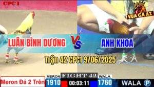 Trận 42 CPC1 9/6/2025 - Anh Luân Bình Dương Và Anh Khoa