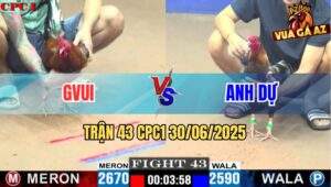 Trận 43 CPC1 30/06/2025 - Gà Điều GVUI Chân Nào Cũng Đâm Lụm Gọn Xám