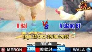 Trận 44 CPC3 29/06/2025 - Anh Hai Đụng Độ Với Anh Giang Bến Tre