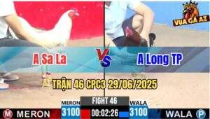 Trận 46 CPC3 29/06/2025 - Anh Sa La Vs Anh Long Thành Phố