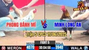 Trận 5 CPC3 11/6/2025 - Bướm Anh Phong Đâm Gà Bông Má Minh Chạy Chết