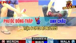Trận 6 CPC2 8/6/2025 - Điều Đá Chậm Mà Chắc, Hạ Úa Anh Phước Tuyệt Đối