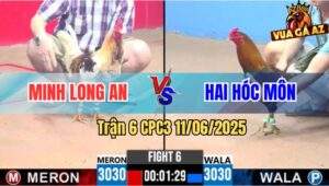 Trận 6 CPC3 11/6/2025 - Bướm Camelo Má Minh Đâm Không Bỏ Chân Nào