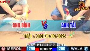 Trận 7 CPC1 30/06/2025 - Gà Cú Cắt Moi Anh Tài Phản Kèo Quá Đẳng Cấp