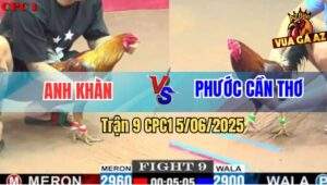 Trận 9 CPC1 5/6/2025 - Bông Cọp Anh Phước Đá Gãy Cổ Xám Son Anh Khàn