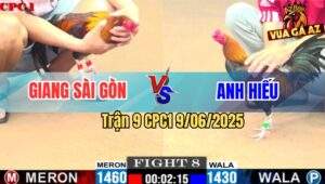 Trận 9 CPC1 9/6/2025 - Anh Giang Sài Gòn Và Anh Hiếu