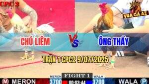 Trận 1 CPC2 9/7/2025 - Gà Vàng Ông Thầy Khai Màn Đâm Xám Cú Chạy Chết