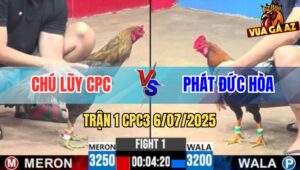 Trận 1 CPC3 6/7/2025 - Bổn Hiệu Của Anh Tính Ga King Đâm Cựa Quá Ác