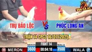 Trận 14 CPC3 16/7/2025 - Gà Bướm Đâm Úa Má Minh Không Trượt Phát Nào