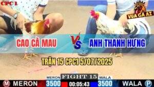 Trận 15 CPC1 5/7/2025 - Anh Cao Cà Mau Đụng Độ Với Anh Thanh Hưng