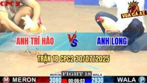 Trận 18 CPC2 30/7/2025 - Bướm Hiệu Anh Long 1 Sút Đối Thủ Giãy Chết