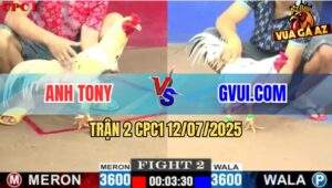 Trận 2 CPC1 12/7/2025 - Bướm Hiệu GVUI.COM Chưa Đá Đã Chạy La Làng