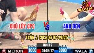 Trận 2 CPC3 6/7/2025 - Gà Anh Đen Có Chân Gạt Cầu Dao Khét Cọp Chú Lũy