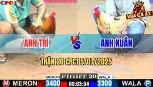 Trận 20 CPC1 5/7/2025 - Bướm Anh Xuân Bú Được Cây Lưng Gà Xám Lên Đờm