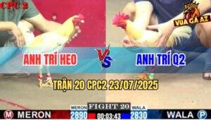 Trận 20 CPC2 23/7/2025 - Anh Trí Heo Đụng Độ Anh Trí Quận 2