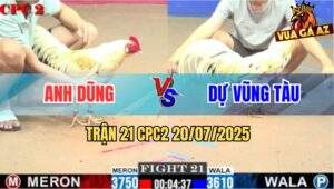 Trận 21 CPC2 20/7/2025 - Camelo Đâm Lọt Cây Cổ Bướm Anh Dự Chết Tươi