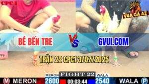Trận 22 CPC1 3/7/2025 - Bướm Anh Bé Mai Độ Có Chân Phản Hạ GVUI.COM