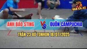 Trận 23 Bồ Ton Hon 18/7/2025 - Anh Bảo Sting Và Anh Đuôn Campuchia