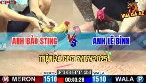 Trận 24 CPC1 7/7/2025 - Chuối Bảo Sting Đâm 1 Tay Nước Điều Chết Tươi