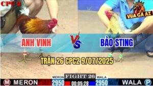 Trận 26 CPC2 9/7/2025 - Chuối Nhập Anh Bảo Sting Bị Đá Nằm Bại Liệt