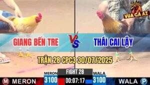 Trận 28 CPC3 30/7/2025 - Gà Xám Anh Thái Đâm Khét Sữa Sập Nguồn