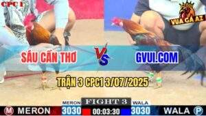 Trận 3 CPC1 3/7/2025 - Điều Cọp GVUI.COM Đâm Cựa Như Cái Máy