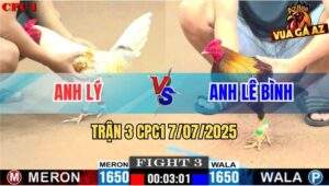 Trận 3 CPC1 7/7/2025 - Gà Xám Anh Lê Bình Đá Camelo Anh Lỳ Đi Cò Cò