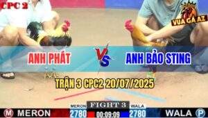 Trận 3 CPC2 20/7/2025 - Khét Cọp Bảo Sting Bị Đá Tốc Chạy Kêu Miệng