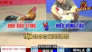 Trận 32 CPC2 16/7/2025 - Gà Bảo Sting Đồng Ký Chấp Ngông Và Cái Kết