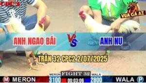 Trận 32 CPC2 2/7/2025 - Gà Anh Ngao Bái To Xác, Lấy Thịt Đè Người