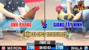Trận 33 CPC3 12/7/2025 - Chuối Mặt Lọ Anh Giang Đá Điều Chạy Lò Cò