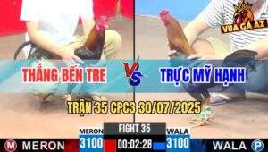Trận 35 CPC3 30/7/2025 - Gà Điều Anh Thắng Bến Tre Ăn No Cựa Bung Chạy