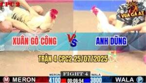 Trận 4 CPC2 25/7/2025 - Bướm Anh Dũng Quá Lẹ Đá Gà Úa Không Kịp Dỡ Giò