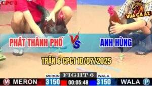 Trận 6 CPC1 10/7/2025 - Gà Anh Phát Đá Tăng 1 Loại Giò Gà Anh Hùng