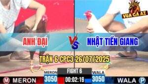 Trận 6 CPC3 26/7/2025 - Úa Hiệu Bảo Sting Đá Khét Gãy Giò Vẫn Bị Phản